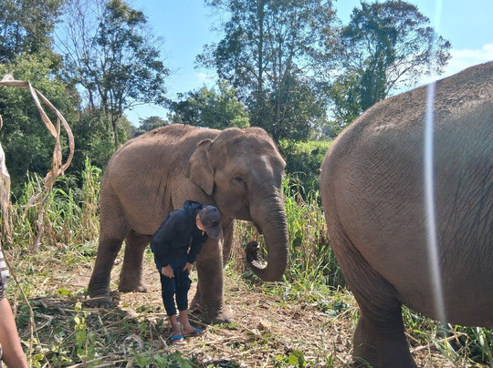Elephant Sanctuary Care Park-清迈必去景点