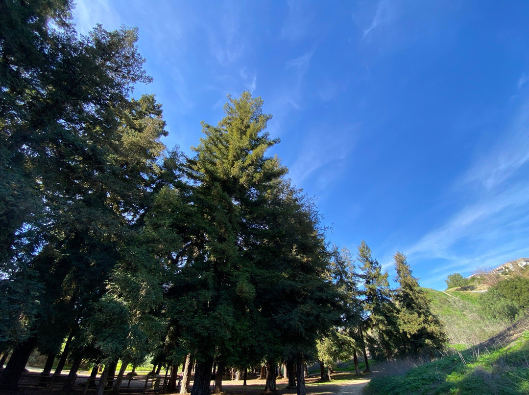 Carbon Canyon Nature Trail-Brea必去景点