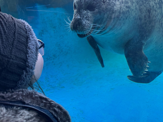 Sea Life Scarborough-斯卡伯勒必去景点