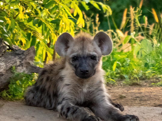 EverseenAfrica-霍德斯普鲁特必去景点