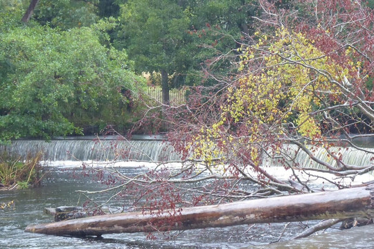 Llangollen and the Horseshoe Falls-兰戈伦必去景点