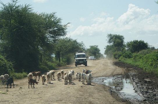 Omo Valley Experience Tours-亚的斯亚贝巴必去景点