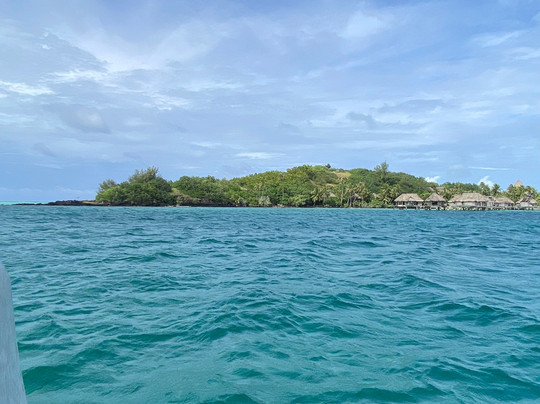 Bora Bora Lagoonarium-瓦伊塔佩必去景点