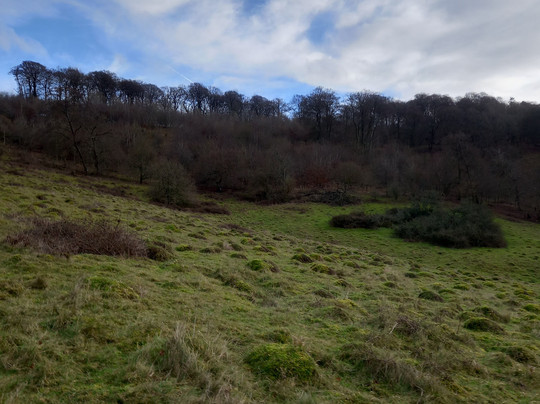 Watlington Hill-Watlington必去景点