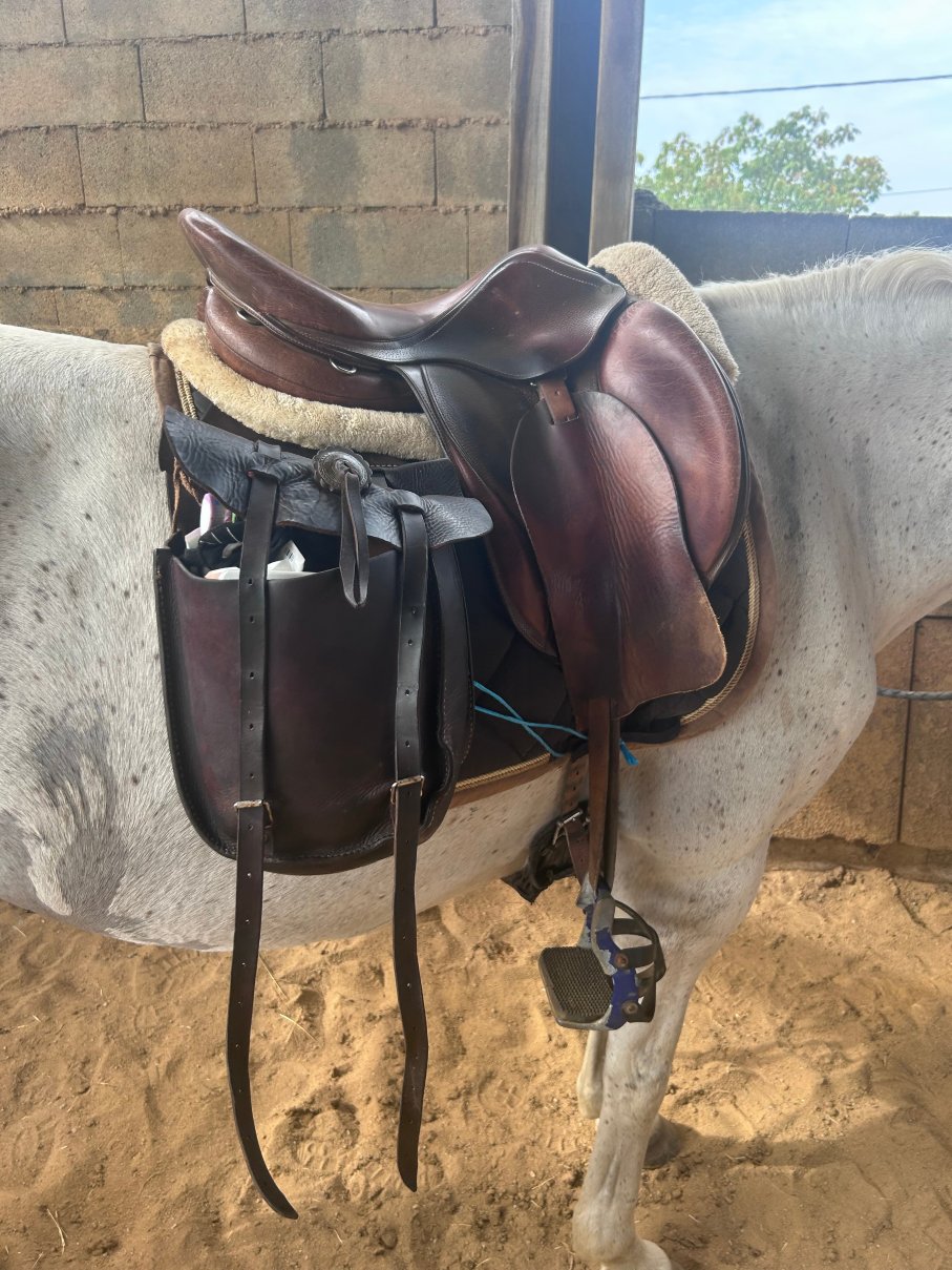 Centre Equestre Du Passe-Temps-官方