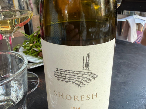 Exclusive Israel Tours-特拉维夫必去景点