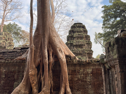 Best Siem Reap Tuk Tuk-暹粒必去景点