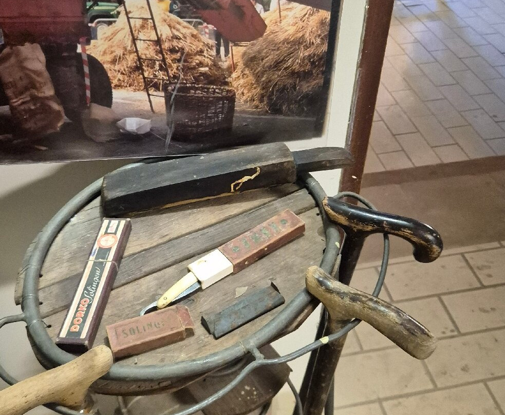 Agriturismo Bruscola主图