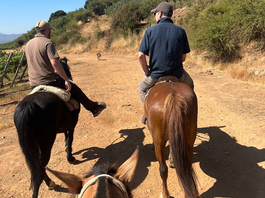 Natural Wine Tours-Palmilla必去景点