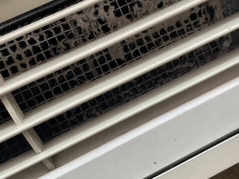 梅森舒适套房酒店-近国王岛主图