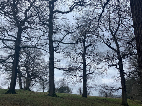 Scotney Castle Estate Walking Trails-Lamberhurst必去景点
