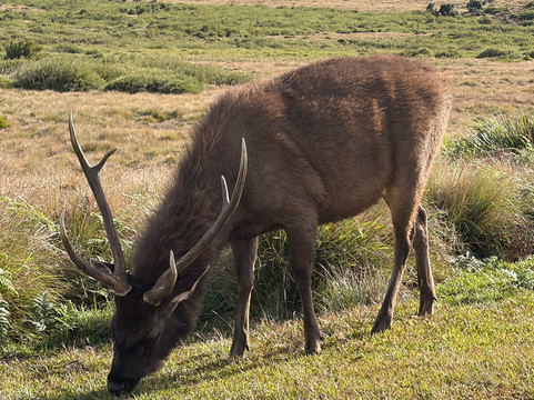 Ancient space tour srilanka-埃勒必去景点
