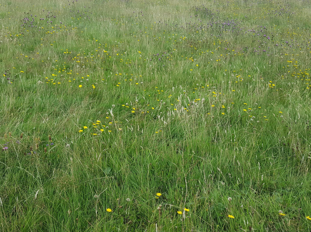 Aldridge Airport Outdoor Activity Centre-Aldridge必去景点