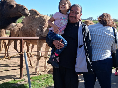 Oasis Camel Dairy-拉蒙纳必去景点