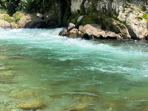 Sumatra Orangutan Explore-武吉拉旺必去景点