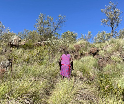 Mount Suswa Conservancy-内罗毕必去景点