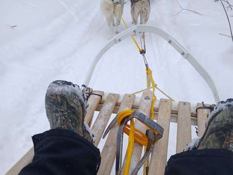 Windrift Kennel-奥里利亚必去景点