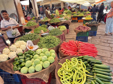 Tusk Travel Private Limited-新德里必去景点