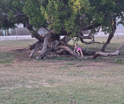 Harry Harris Park-拉哥岛必去景点