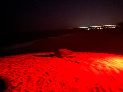 Turtle Watch Rekawa-唐卡拉必去景点