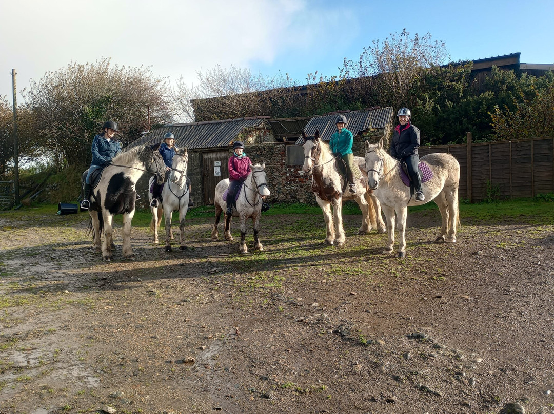 Caradon Hill Trekking and Equestrian Centre-Pensilva必去景点
