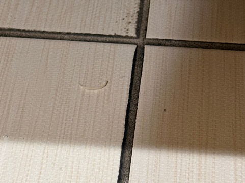 弗兰肯默斯智选假日酒店主图