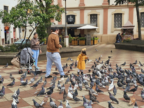 Iglesia San Francisco-Loja必去景点