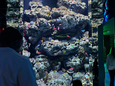 Aquarium At The Boardwalk-布兰森必去景点