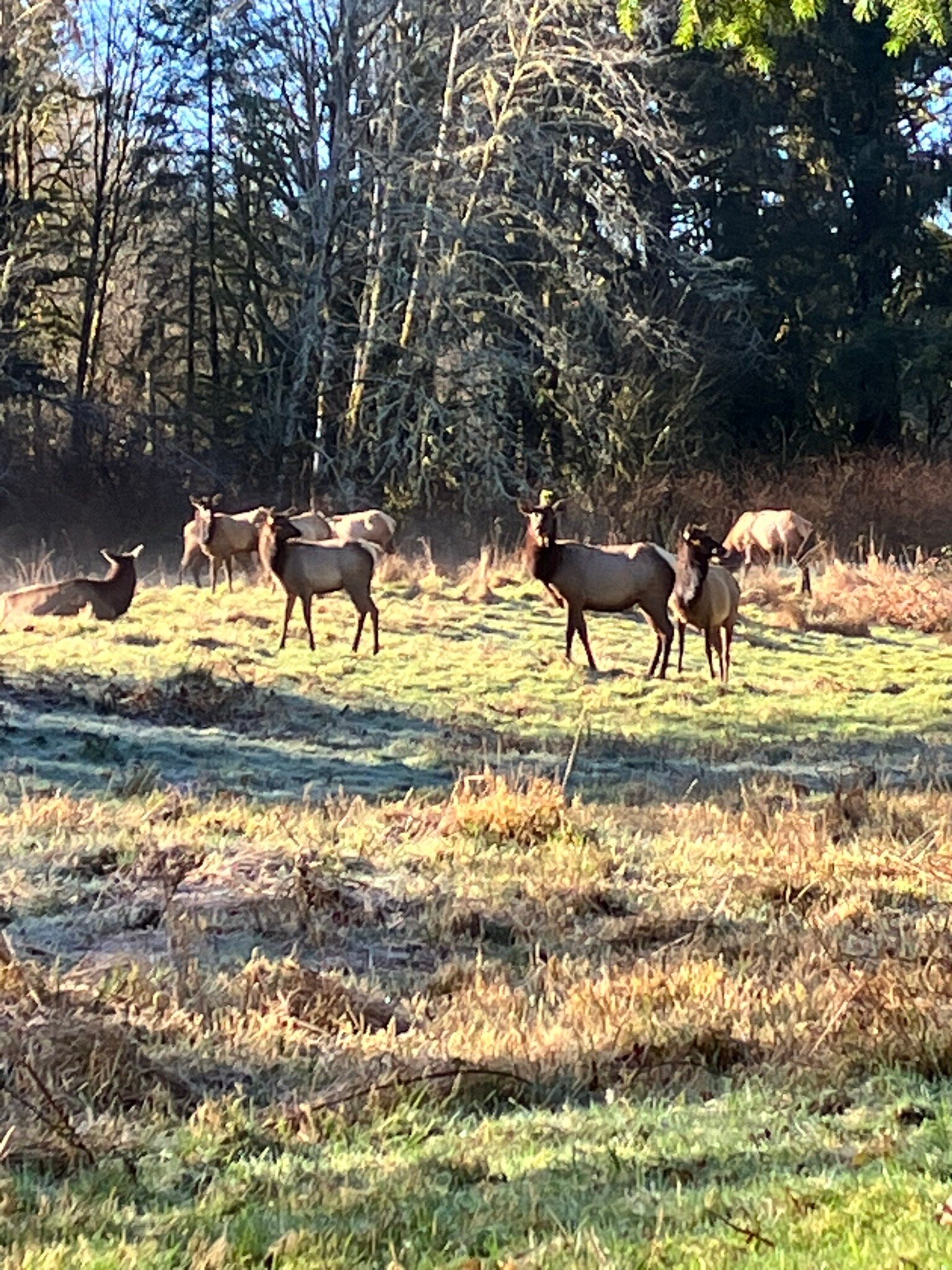 奎纳特湖小屋-官方