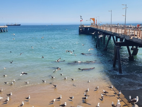 Private Tours Santiago-圣地亚哥必去景点