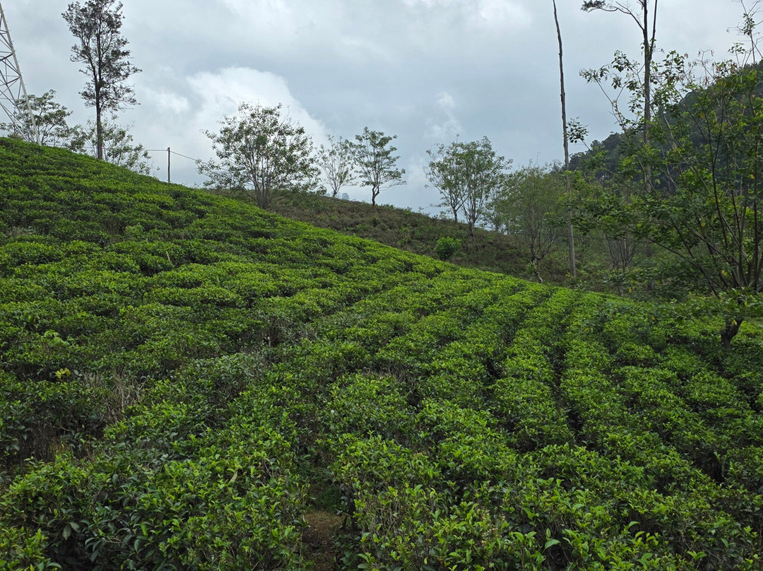 Amith Tours Sri Lanka-卡卢特勒必去景点