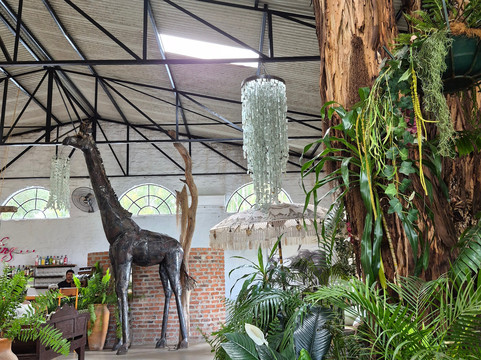 Wild Is Life-哈拉雷必去景点