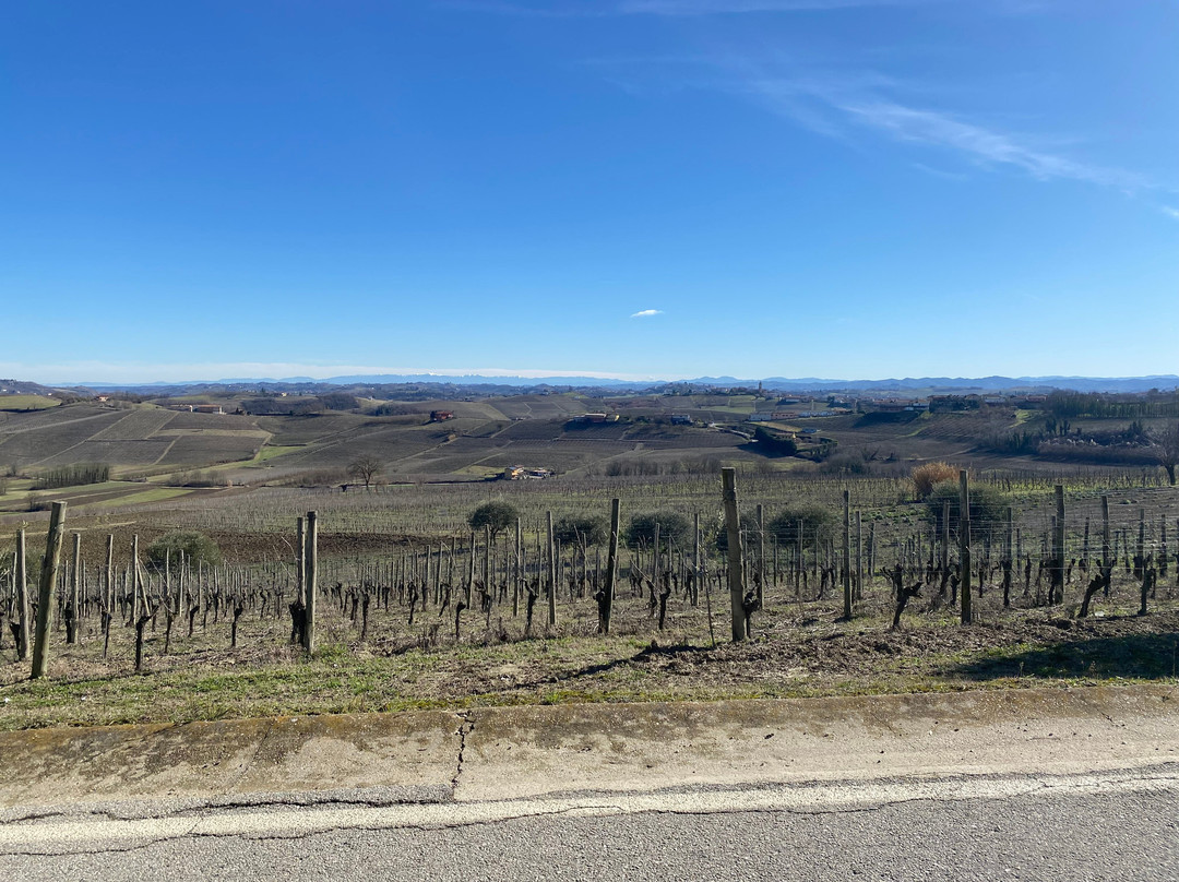 Torchio1953-Isola d'Asti必去景点