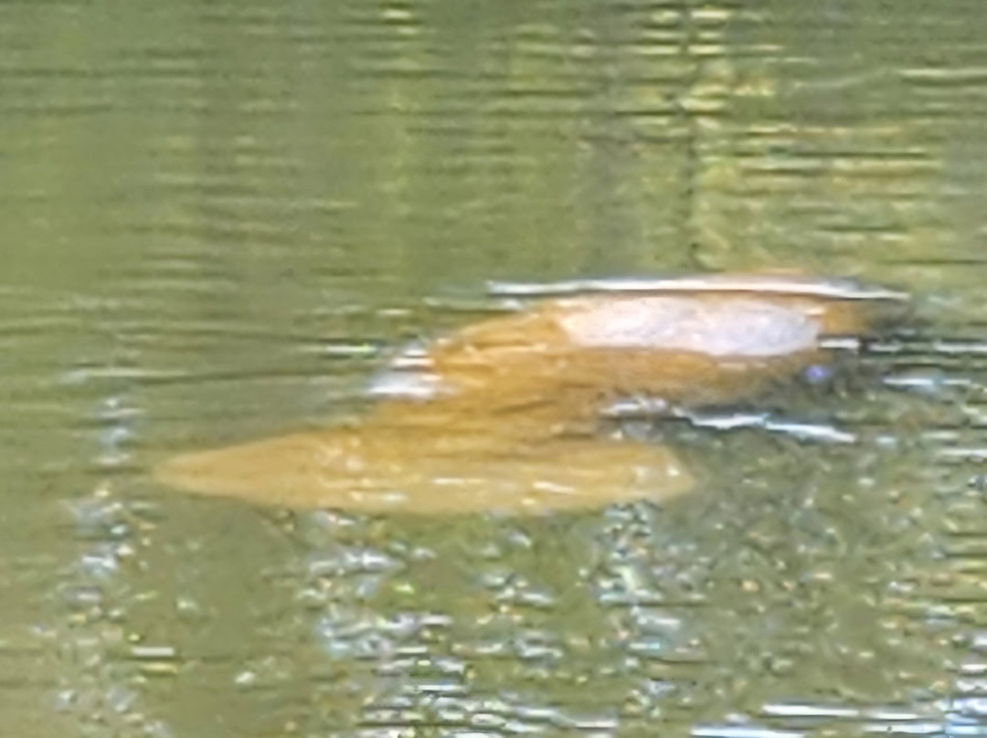 Boats And Fun-North Captiva Island必去景点