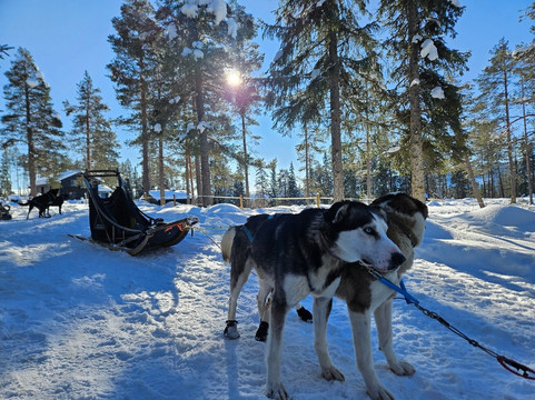 Hemsedal Huskies-Hemsedal必去景点