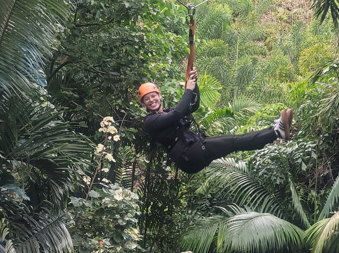 Jungle Zipline Maui-海库必去景点