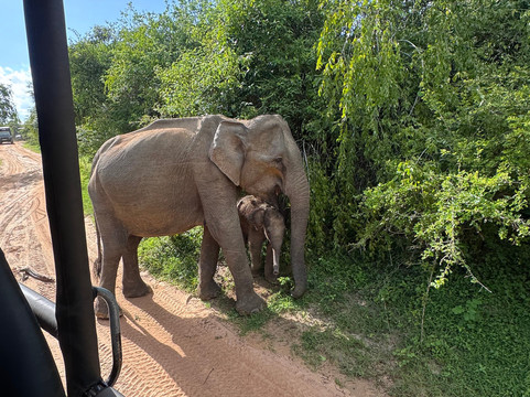 Balanna Travel Co-卡图纳耶克必去景点