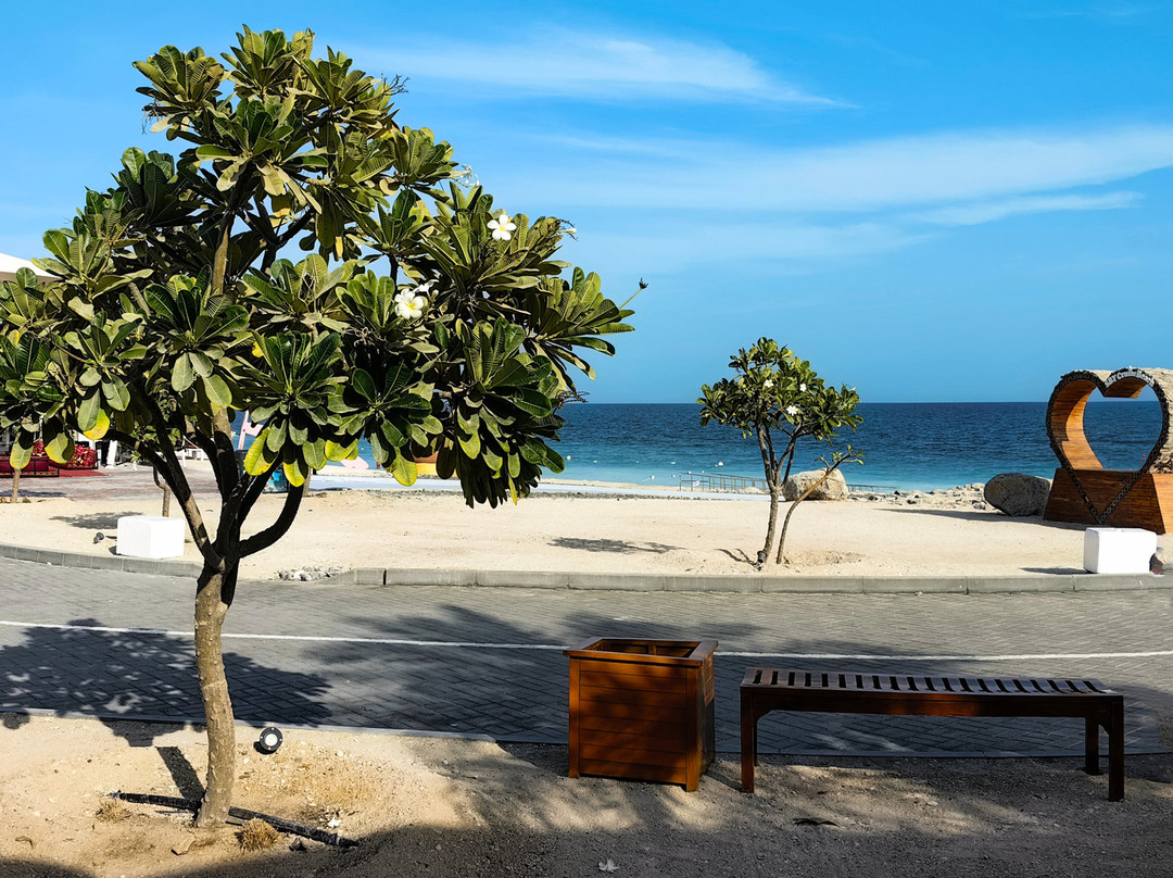 Sir Bani Yas Cruise Port-萨巴尼亚岛必去景点