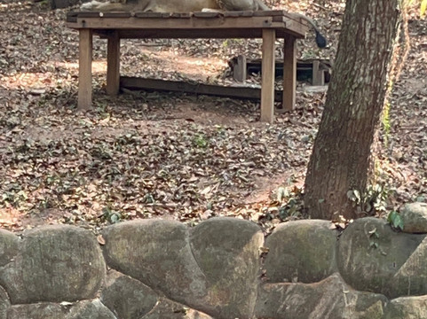 Kerala Dayz-柯钦必去景点