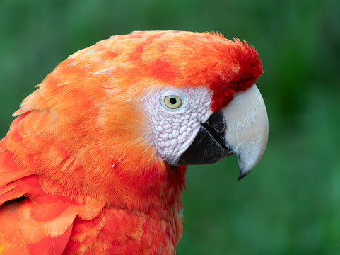 Zoo Das Aves-Pocos de Caldas必去景点