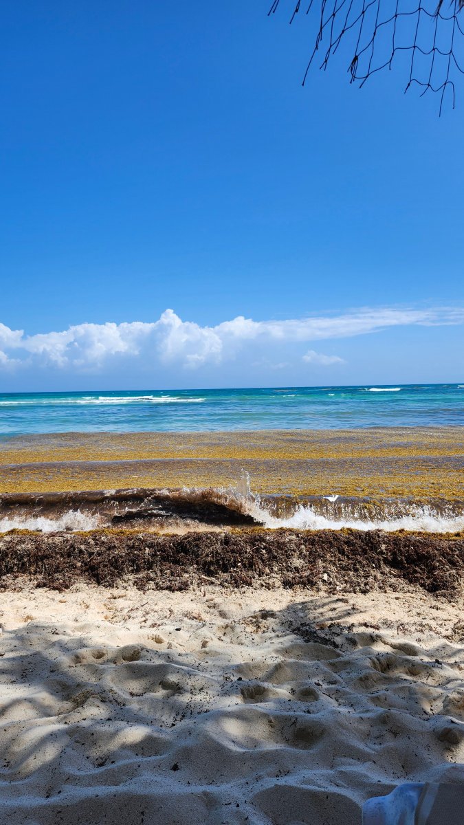 阳光海岸宾馆-官方