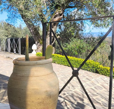 ILICI Grill e Aspro Cocktail Bar