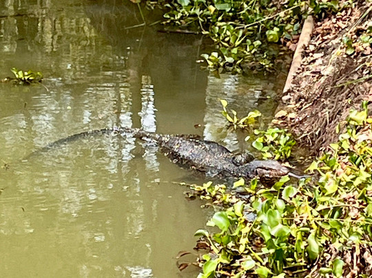 USP Lanka Tours-科伦坡必去景点