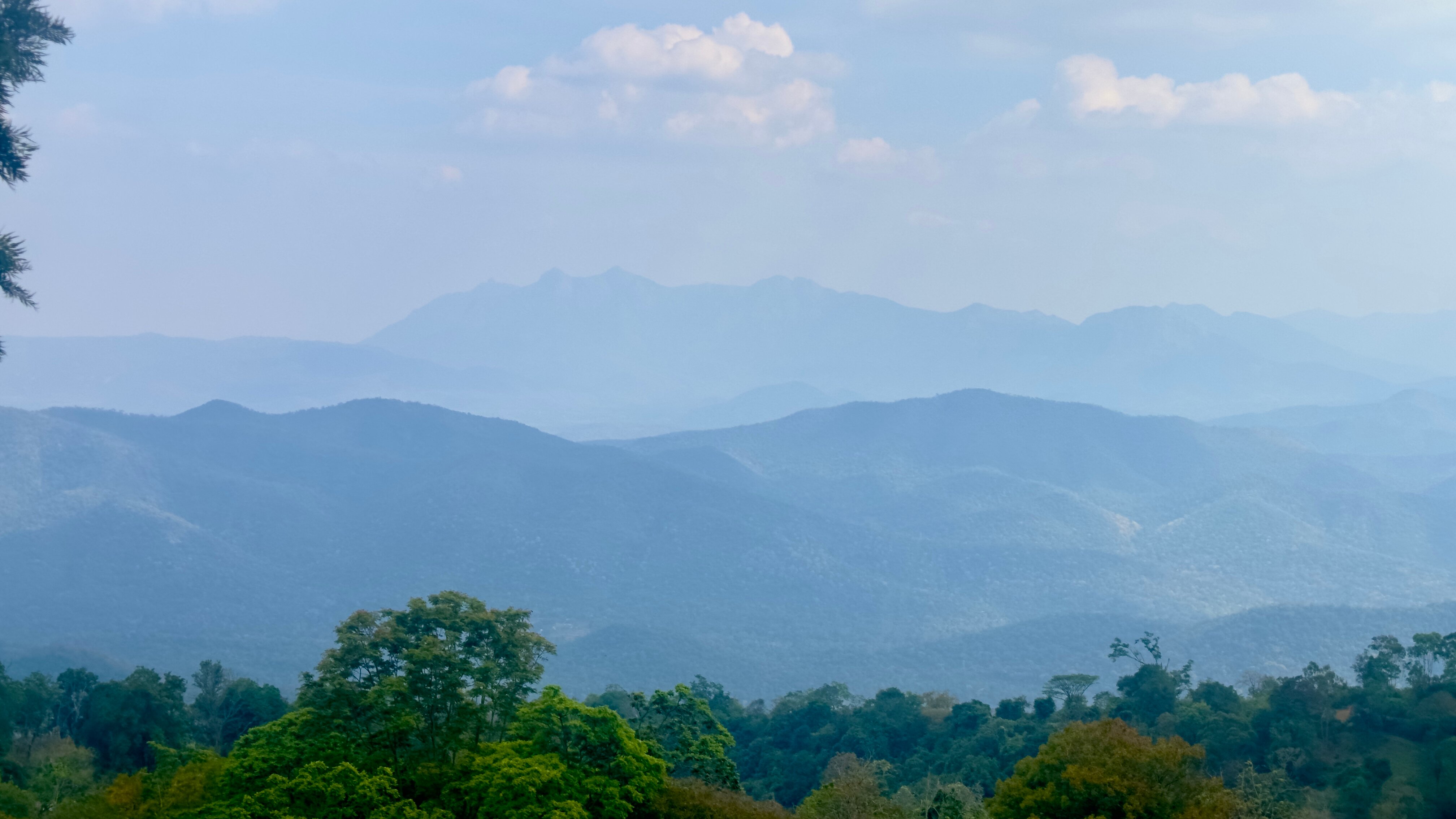 库奴尔奥兰德植物农场住宿-酒店景观