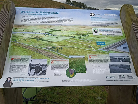 Hannah's Meadow-Barnard Castle必去景点