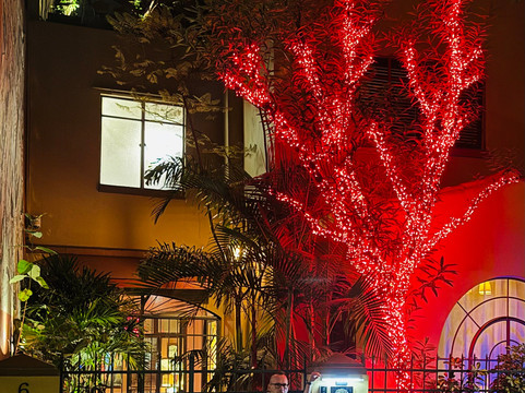 The Red Tree House主图