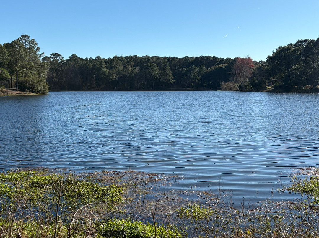 Jarvis Creek Park-希尔顿头岛必去景点