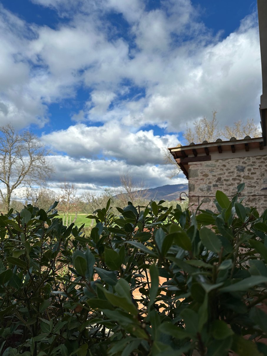 Podere GIUSTI-官方