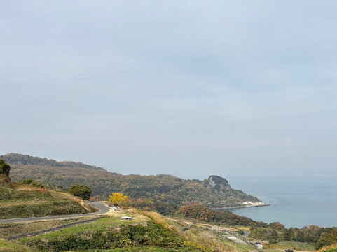Teshima Terraced Rice Field Project-Teshima必去景点