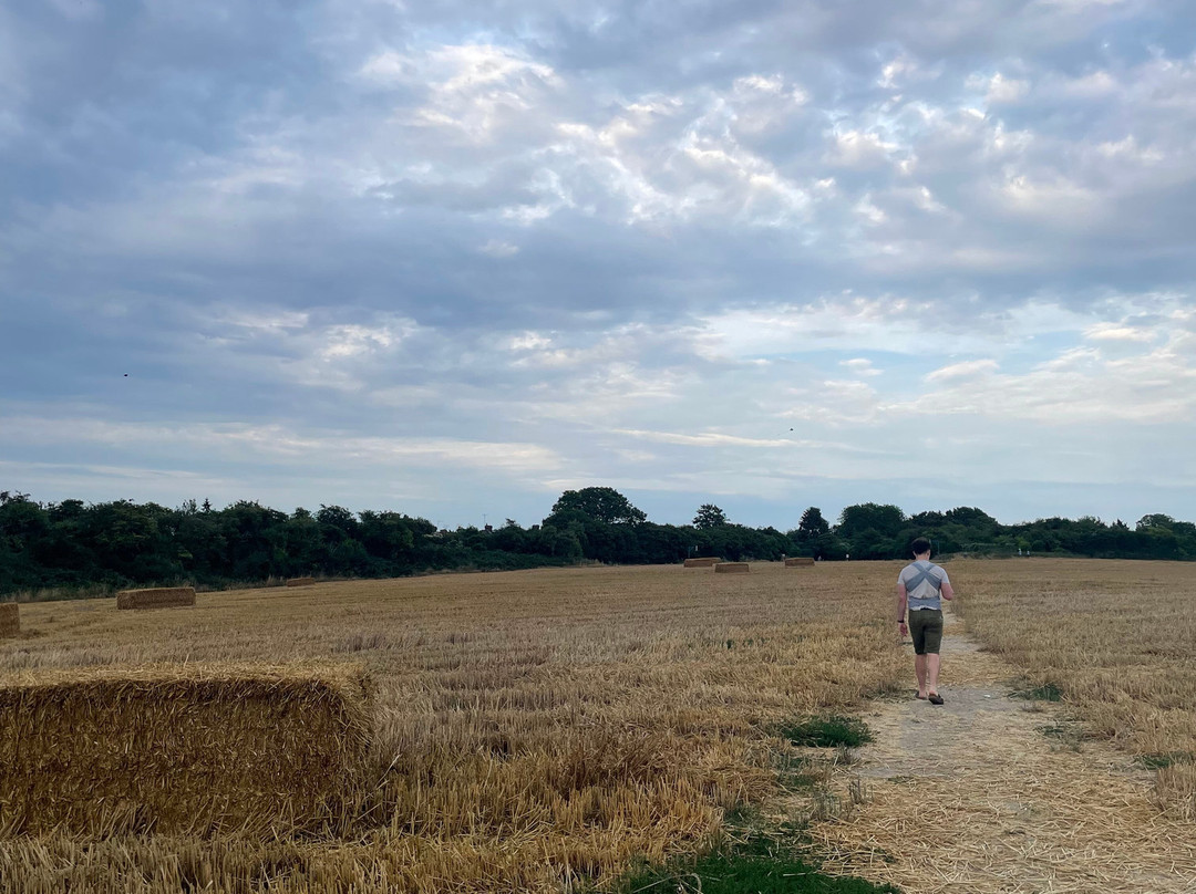 Canterbury Cathedral Panoramic Viewpoint-坎特伯雷必去景点